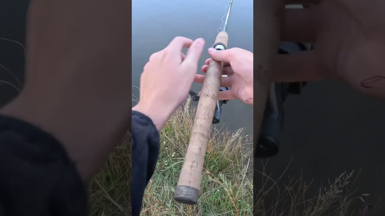 Caught one on the first cast #fishing #fish #shorts