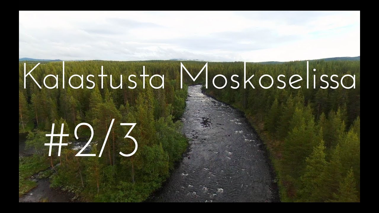 Taimenen ja harjuksen kalastusta Ruotsissa Moskoselissa 2017 osa 2/3 // Vaan kalastusta(4)