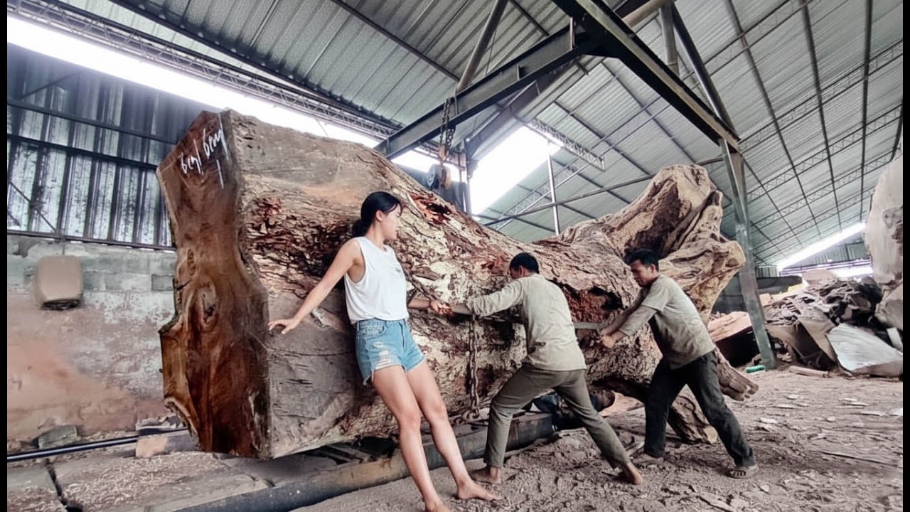 Almost Thrown Away‼️This Strange Trembesi Tree Turns Out to Be Super Expensive I sawmill