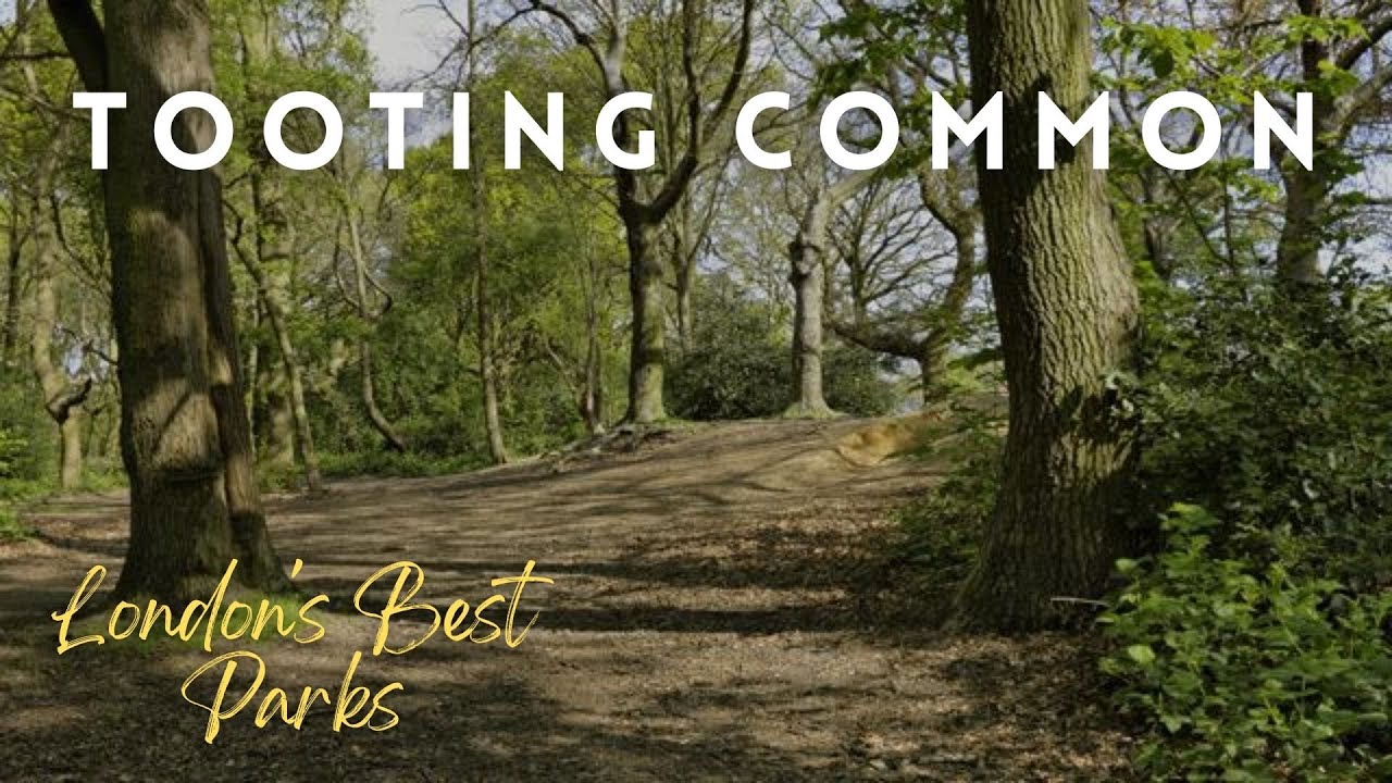 Tooting Common is technically not even a park but it's still one of the best