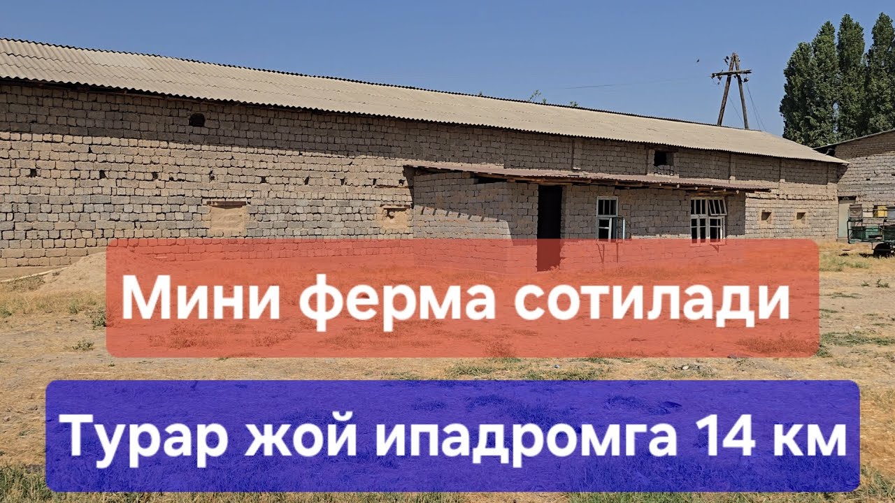 Таййор ферма срочно сотилади янгийол тумани