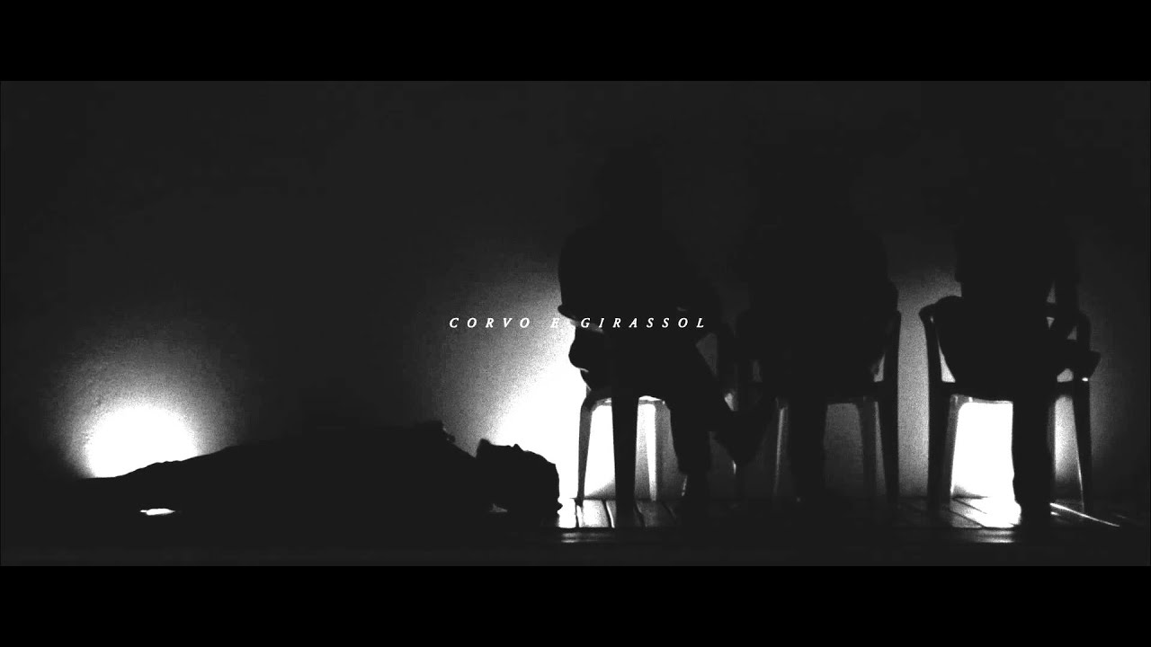 4. Corvo e Girassol - Anistie