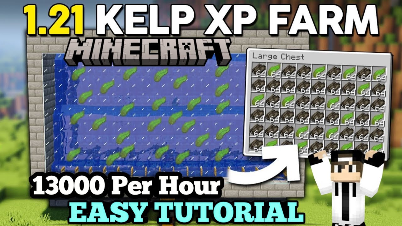ZERO TICK KELP FARM ✅ IN MINECRAFT PE 1.21+ | UNLIMITED KELP
