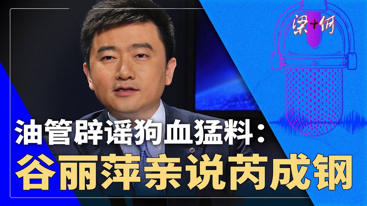 谷丽萍亲说芮成钢，油管辟谣狗血勐料，涉案细节仍是谜 | #梁+何（376）