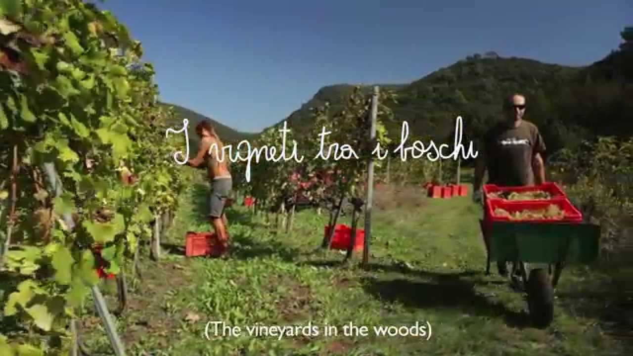 Agriturismo Valleponci - La Liguria come non l'avete mai assaggiata