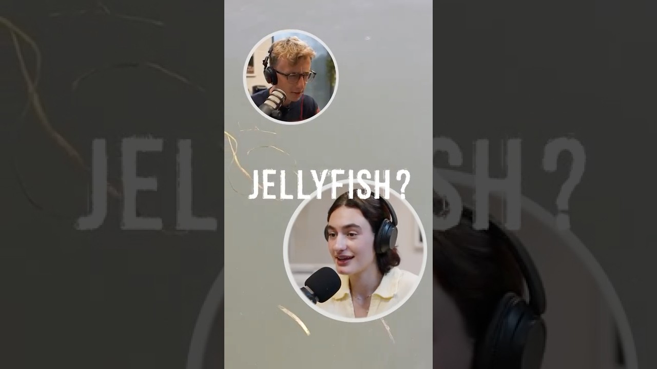 Rare Jellyfish Spotted in Lake Erie 🪼👀