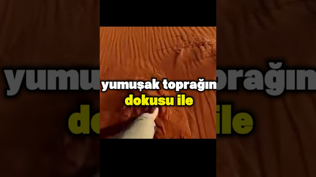 TAKİP ET DEVAMI GELSİN 