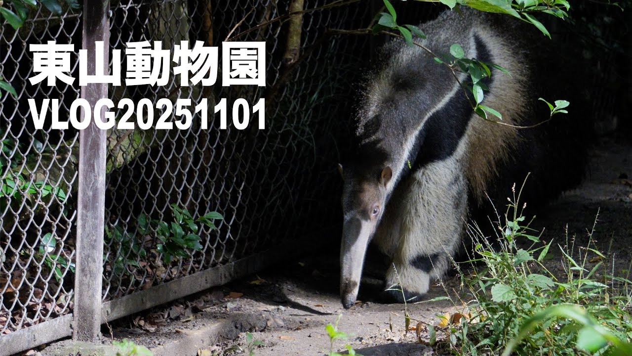 東山動物園　VLOG20251025 