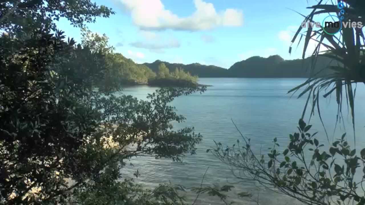S/Y PALAU SIREN TOUR 2014
