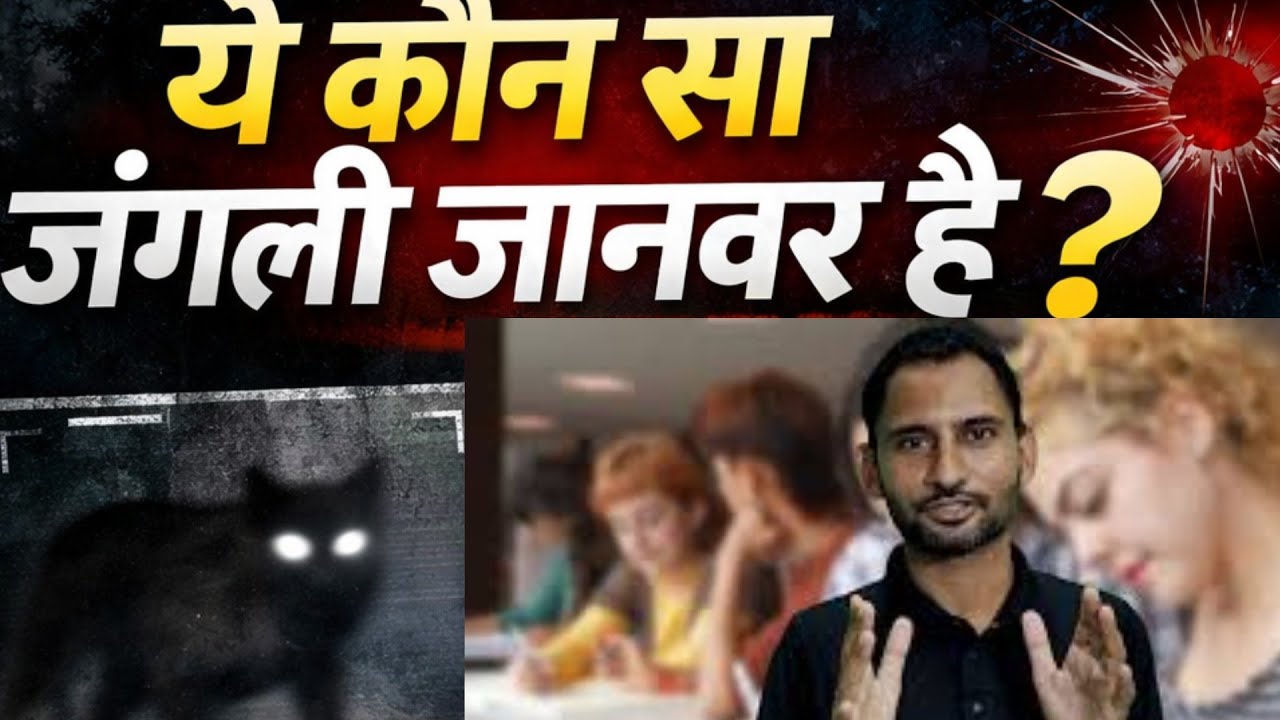  भेड़िया लकड़बग्गा या तेंदुआ “ये कौन सा जंगली जानवर है? गाँव में फैला डर, सच्चाई अभी भी रहस्य!”