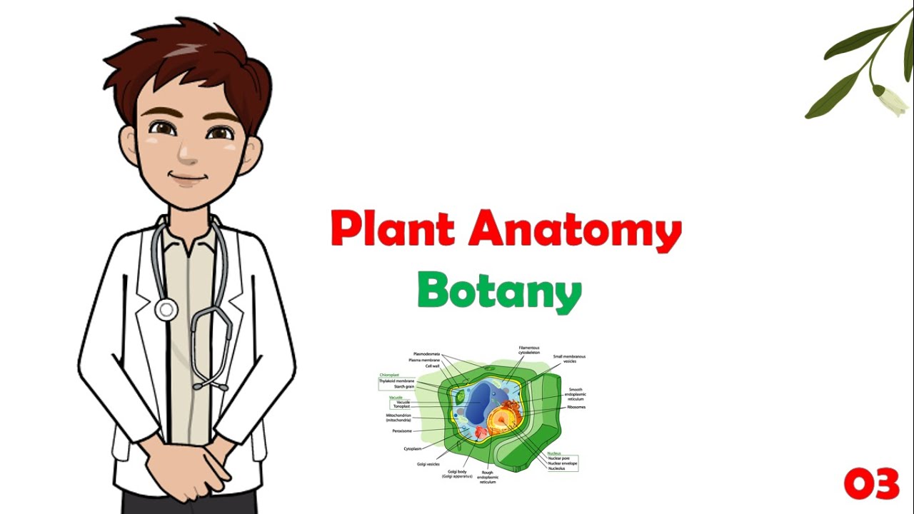 Botany - 03- Plant Anatomy ( cell structure - Ergastic substances  ) | شرح بوتاني الكليات الطبية