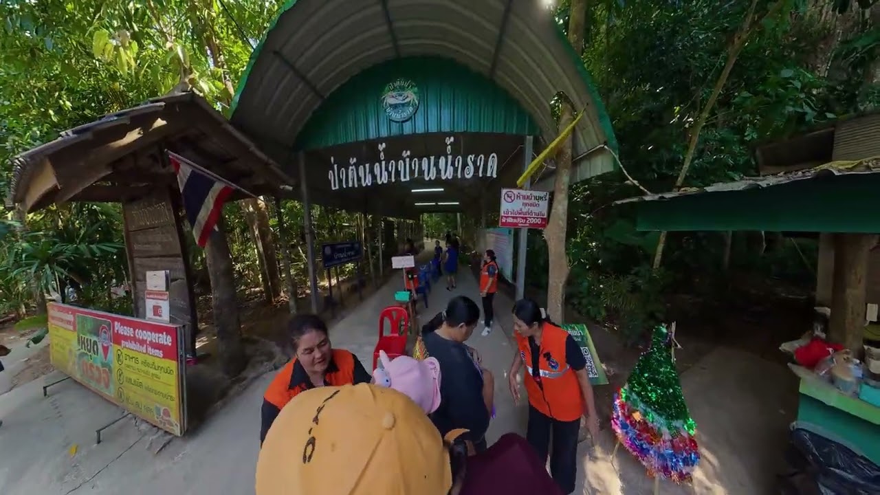 ป่าต้นน้ำ บ้านน้ำราด คีรีรัฐนิคม สุราษฎร์ธานี