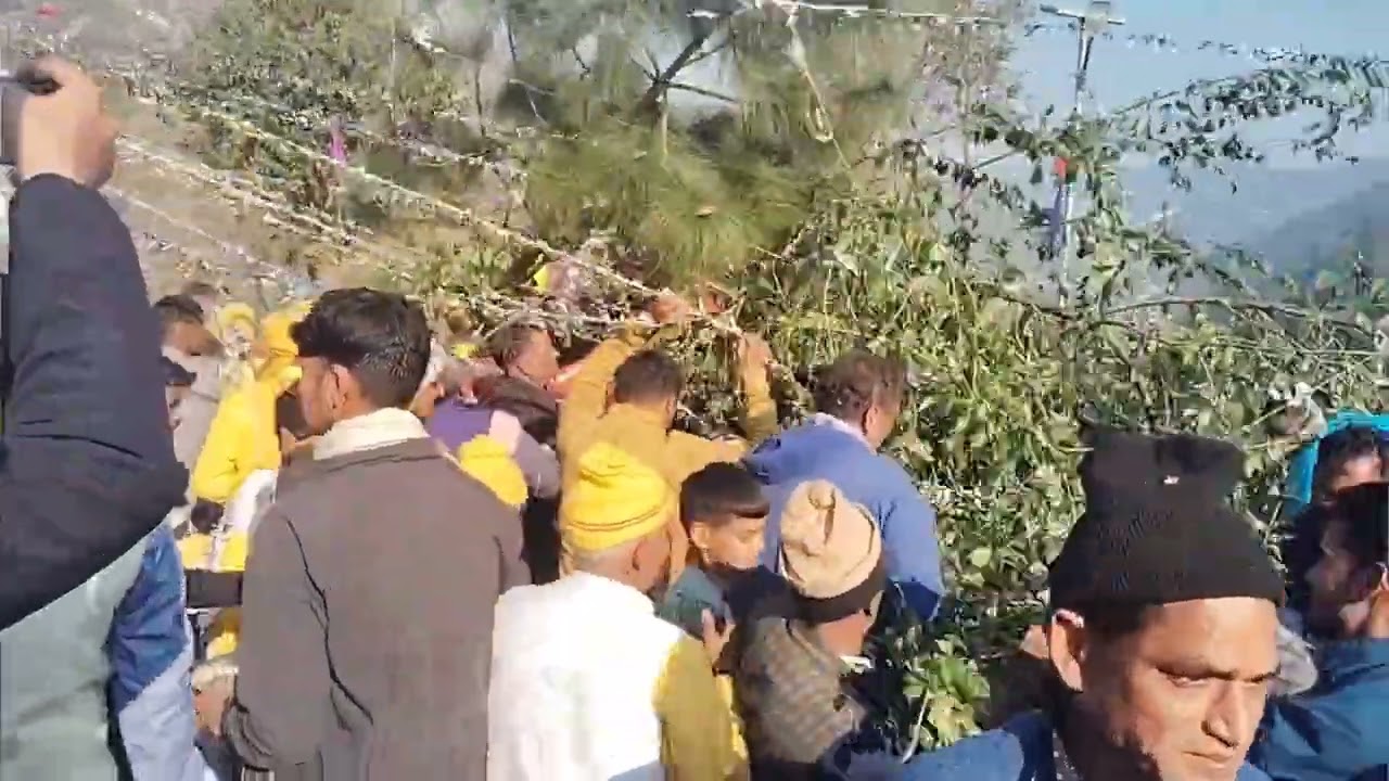 पांडव लीला (पंनवार्त)अंतिम दिन || पेड़ तोड़ने का कार्यक्रम देखने पहुंचे डकवानगांव ||  #uttarakhand 