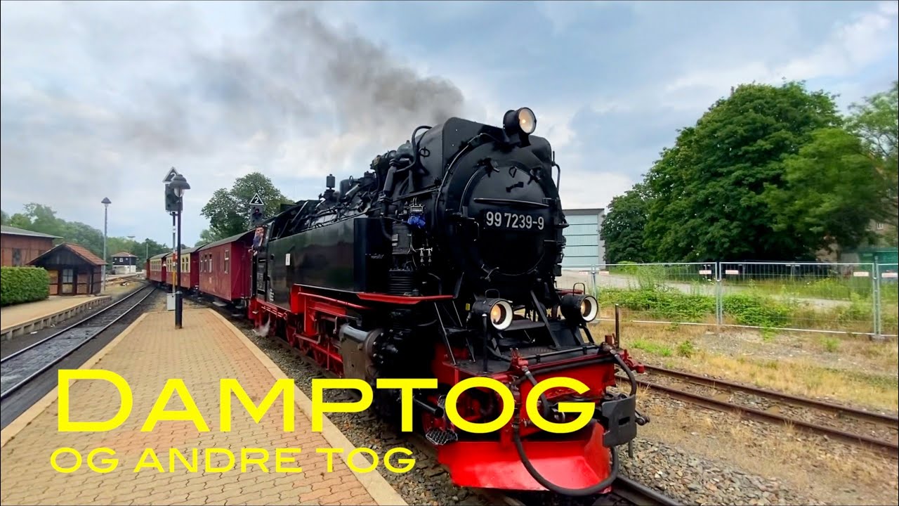 Tog for børn 5