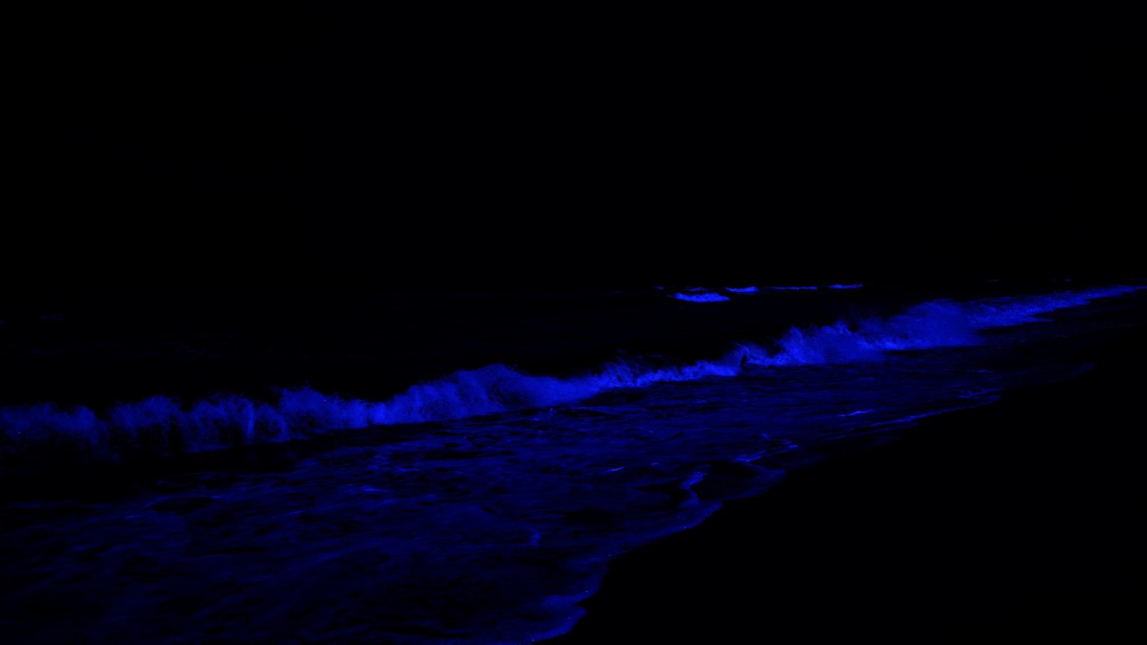 NO MORE Insomnia ★︎ Soothing Ocean Waves all Night to Heal the Mind, Body and Soul