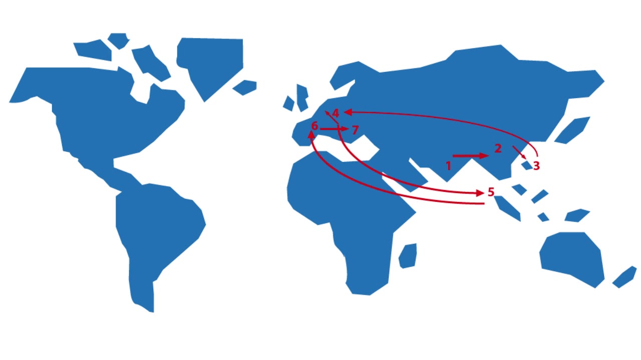 Eine Reise um die Welt