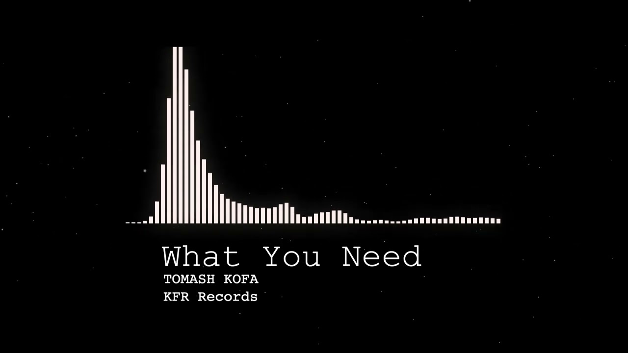 Tomash Kofa - What You Need (Original Mix)