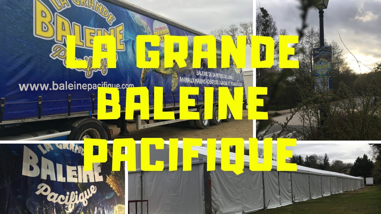 LA GRANDE BALEINE 2019