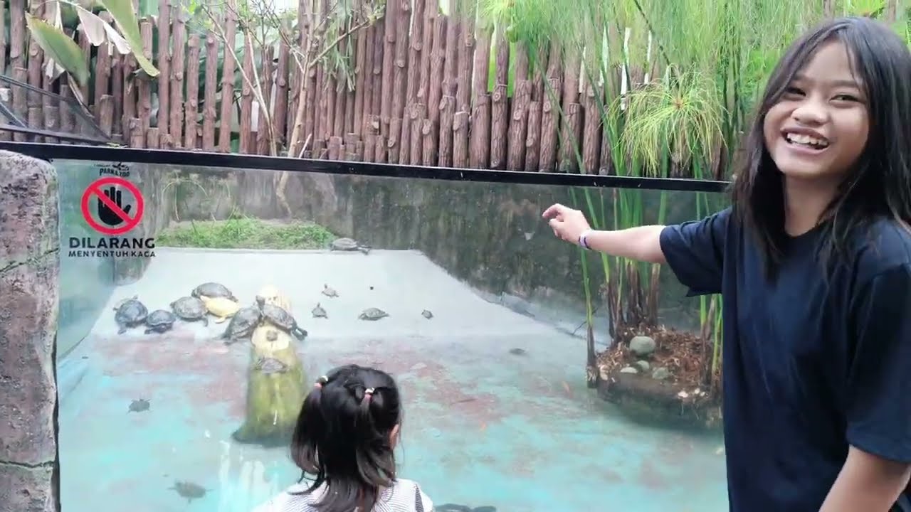 Lembang park zoo, mengenal hewan