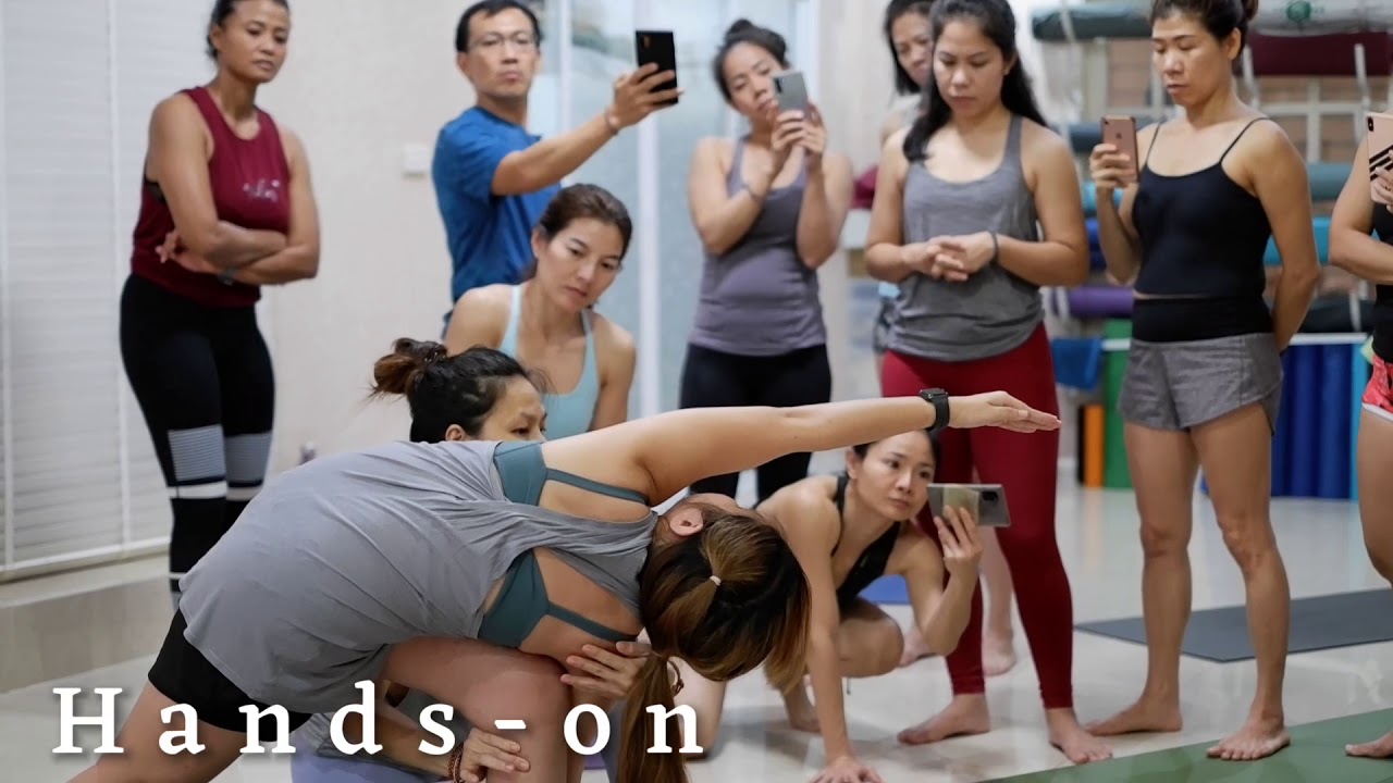 Experience Hand on Adjustment &  Intensive Course