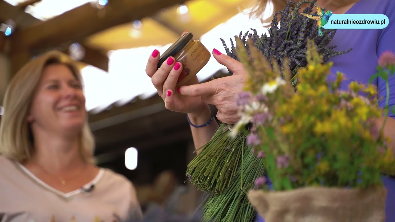 Czym różni się pielęgnacja lawendy na plantacji od tej domowej? |  Lato w kuchni z NoZ