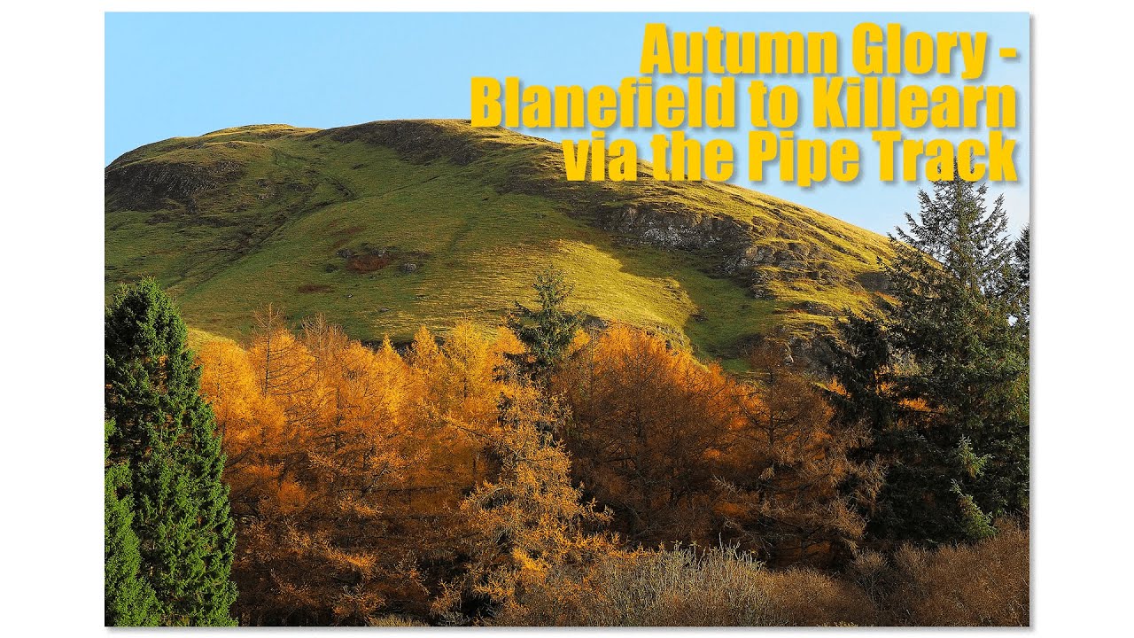 Autumn Glory - A walk from Blanefield to Killearn in the beautiful Scottish Highlands!