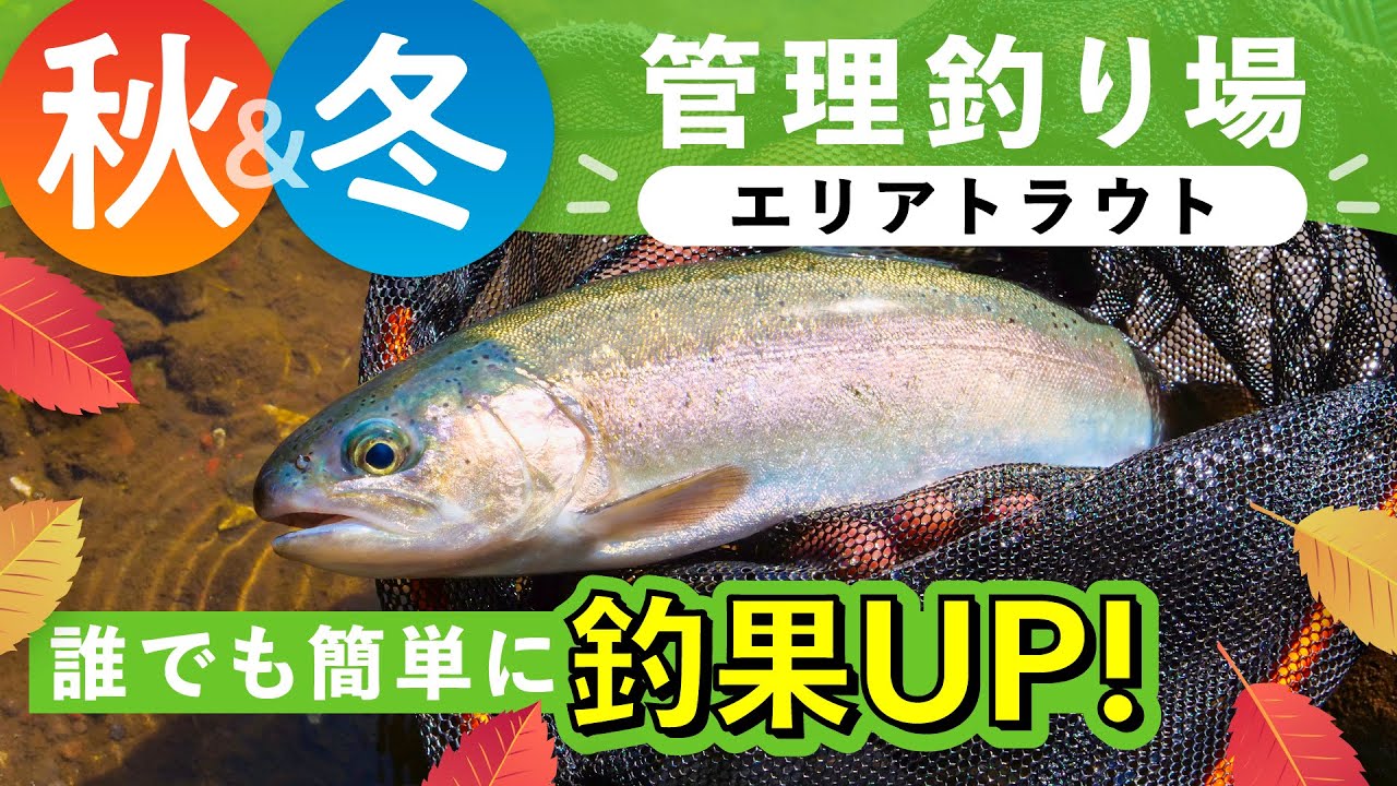 【11月釣り】ニジマスをもっと簡単に釣果UP！新お助けアイテムで広がる楽しさ！水野浩聡/石川文菜