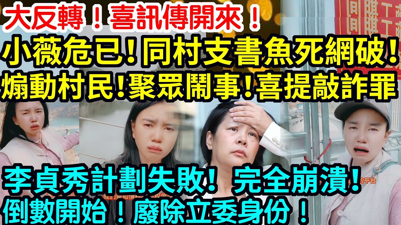 大反轉！喜訊傳開來！小薇危已！同村支書魚死網破！煽動村民！聚眾鬧事！喜提敲詐罪！李貞秀計劃失敗！完全崩潰！倒數開始！廢除立委身份！