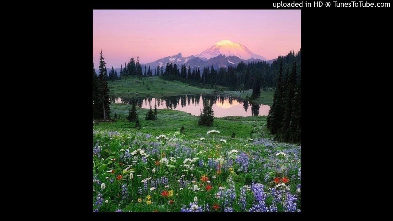 FREE Pierre Bourne x Playboicarti type beat 