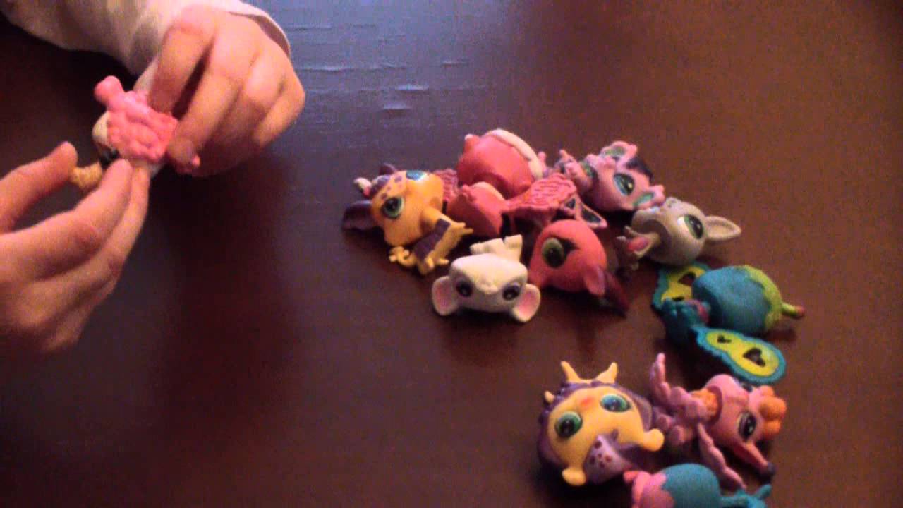 Littlest Pet Shop Charlotte 2016
