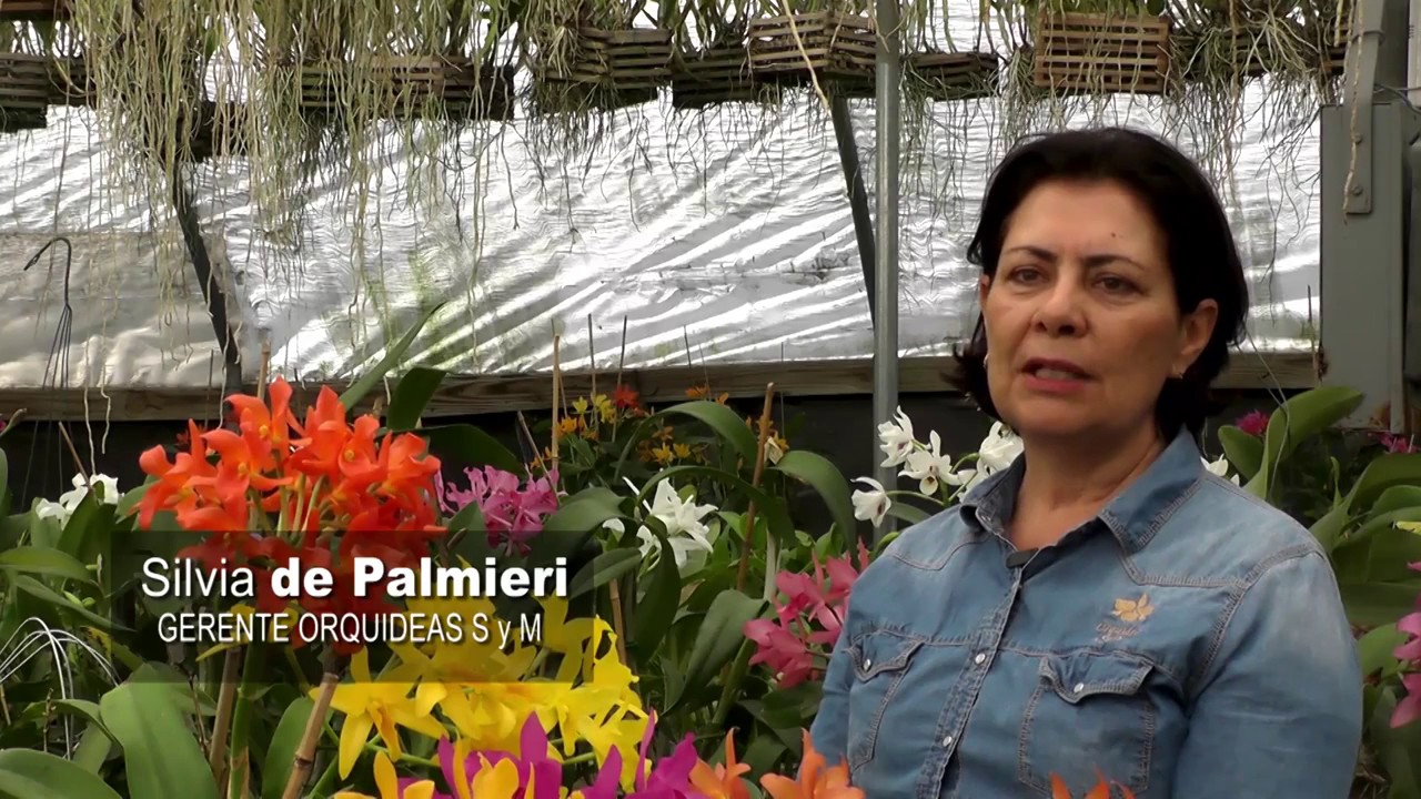 Preservación de Orquídeas en Guatemala.
