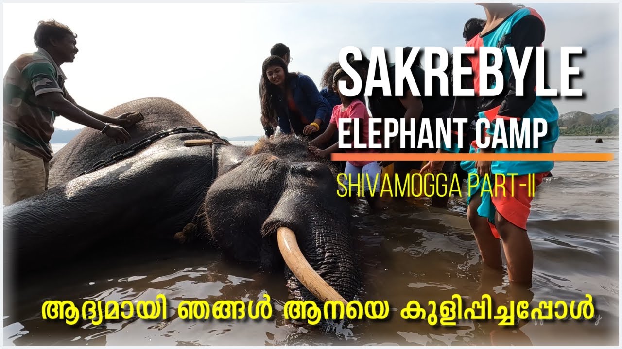 SHIVAMOGGA SAKREBYLE ELEPHEANT CAMP SHIVAMOGGA PART-II #karnataka KARNATAKA TRAVEL MALAYALAM VLOG