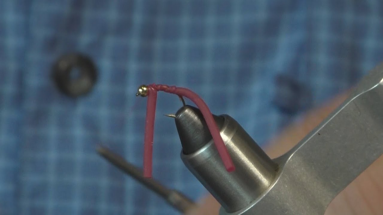 Squirmy Worm