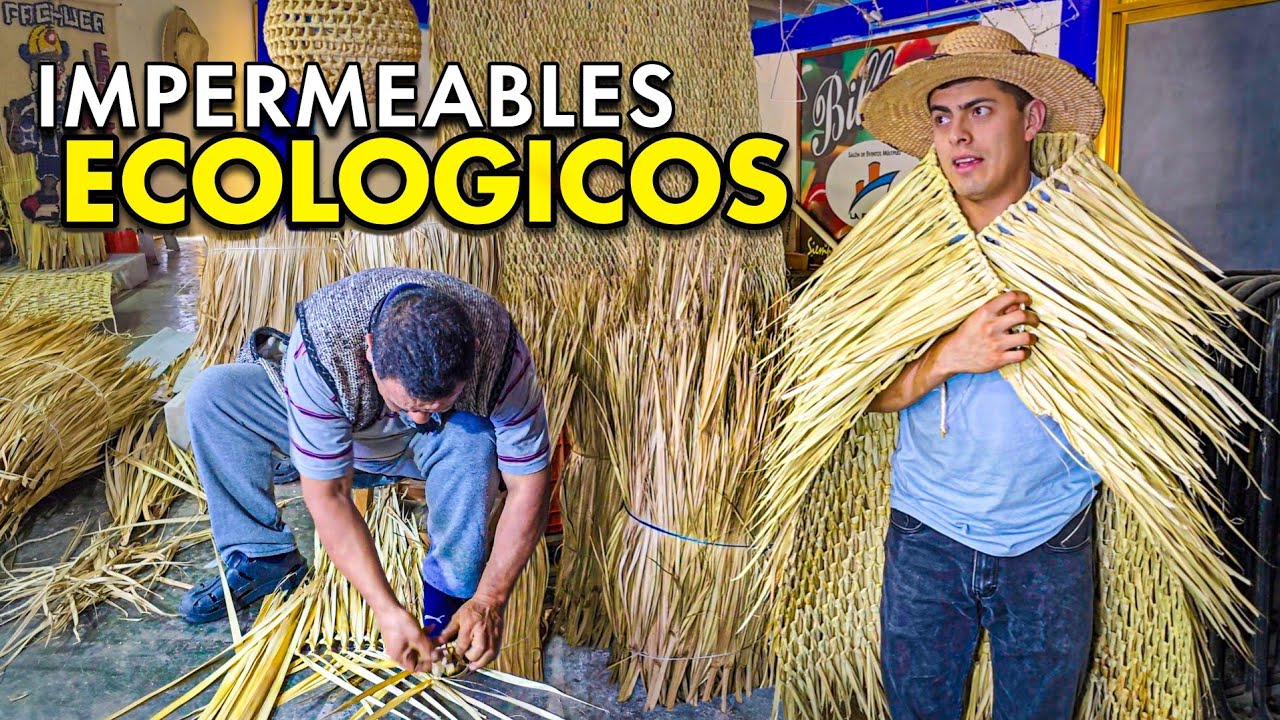 TRANSFORMA Las Hojas de PALMA - Así se GANA la Vida