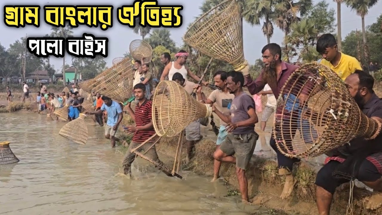 ২ লক্ষ ৬০ হাজার টাকার পুকুর কিনে পলো দিয়ে মাছ ধরা | Dhakar Fish Lovers