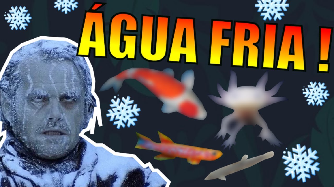 🔴 TOP 10: PEIXES DE ÁGUA FRIA |Mr. Betta|