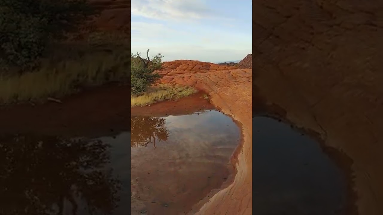 Hike into the Petrified Dunes