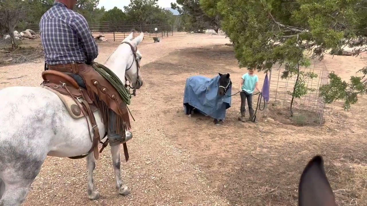 Helping A Mule Through A Spook