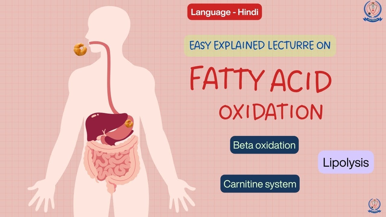 Beta Oxidation of fatty acid 01 | Biochemistry For Nursing | Carnitine Shuttle | Disha Nirdesh
