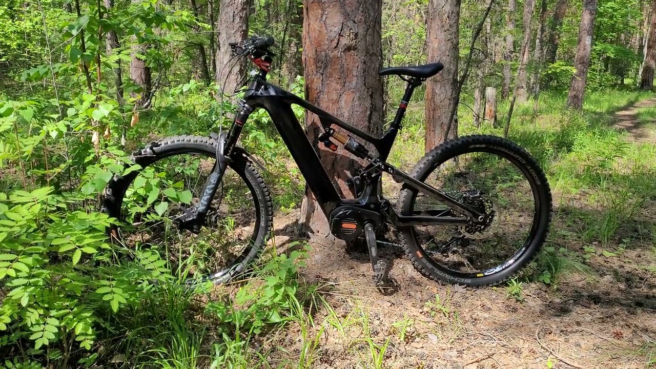 Dengfu e22, Bafang g510, m620, ultra, carbon frame. 1000W(max 1500W). 2 power horses.