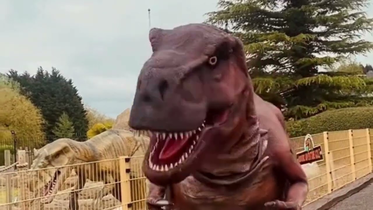 Summer Family Fun at Lightwater Valley