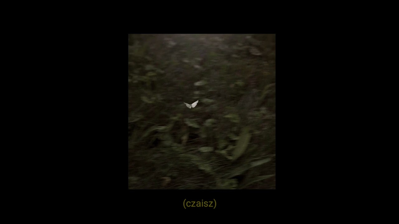 x'est la vie //SOMAI
