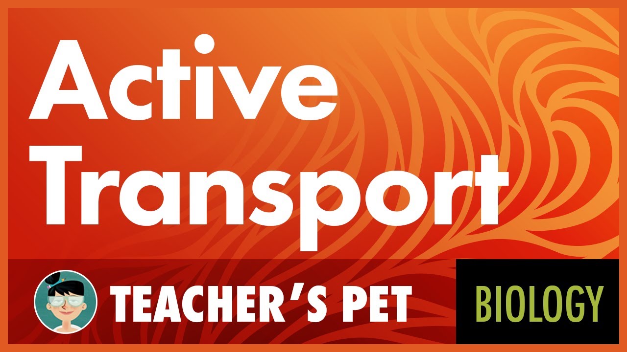 Active Transport