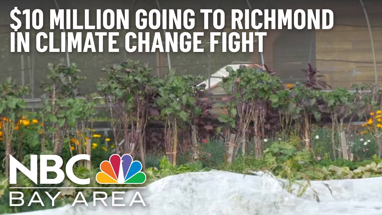 East Bay Nonprofit to Receive $10 Million in Climate Change Fight