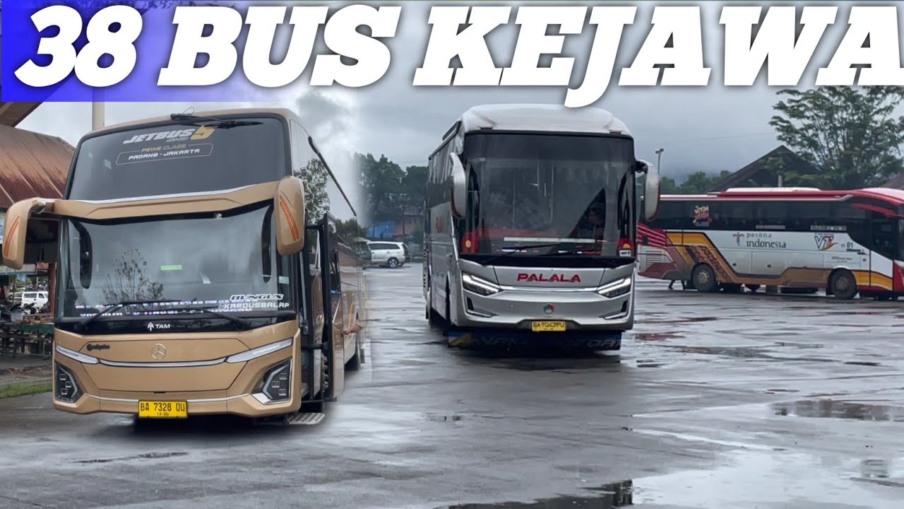 penumpang palala nyaris ada yang ketinggalan 38 bus ke pulau jawa