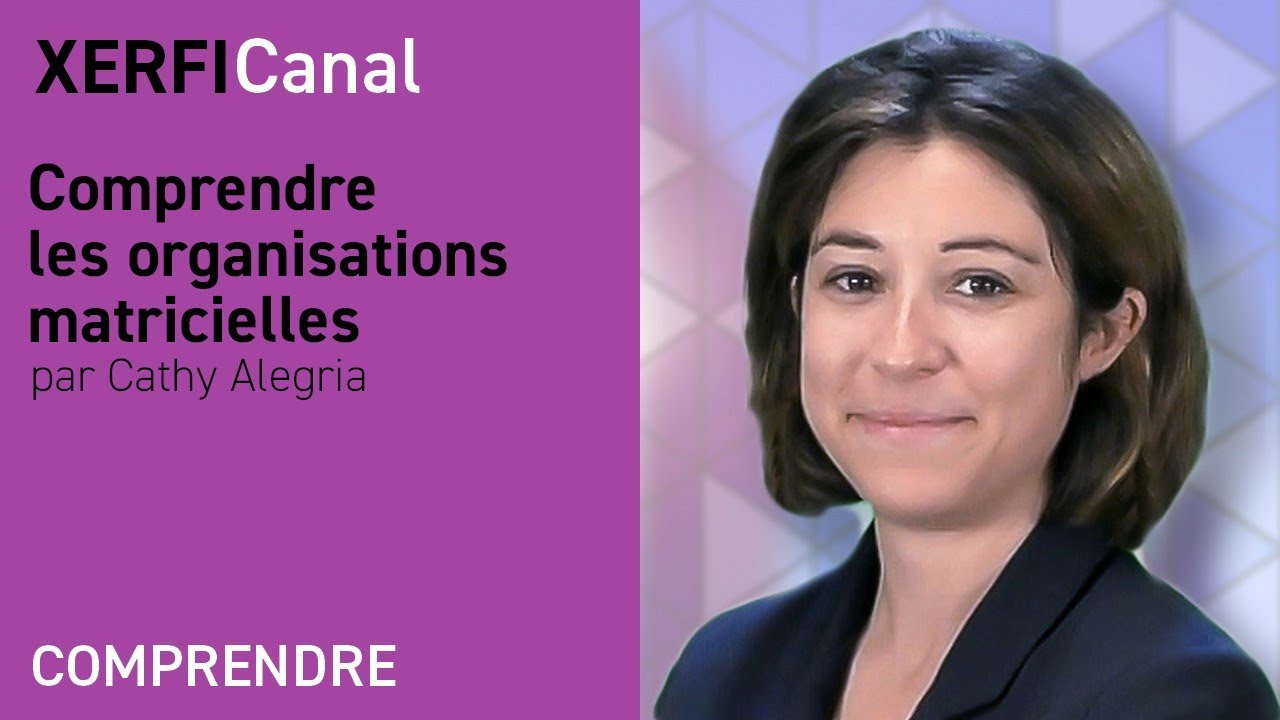 Comprendre les organisations matricielles [Cathy Alegria]