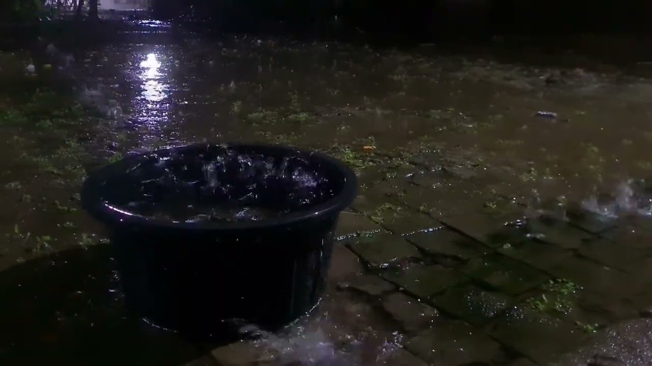 Rain at night asmr for sleeping and relaxing 