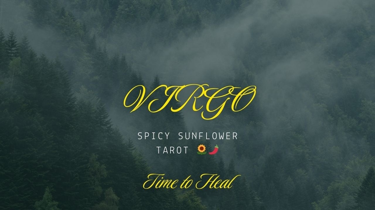 Virgo ♍ | Prepare to Receive an Apology or Emotional Convo this Week! | Spicy Sunflower Tarot