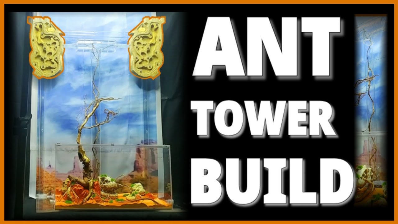 I BUILT AN ANT TOWER | D colony
