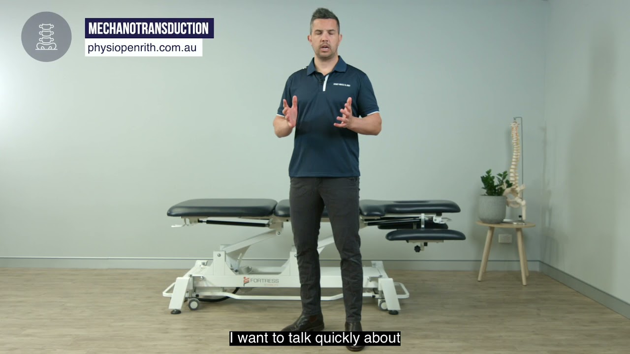Mechanotransduction - #Physio Penrith